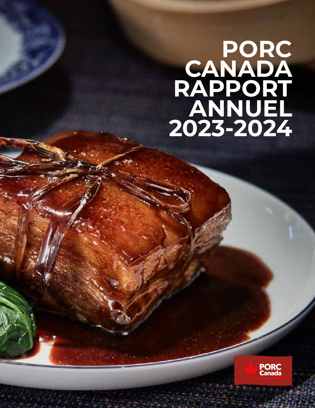 Rapport annuel 2023-2024